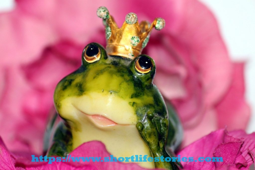 frog prince, crown, flower